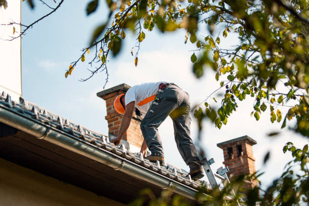 Best Roof Repair Services  in Pennington Gap, VA