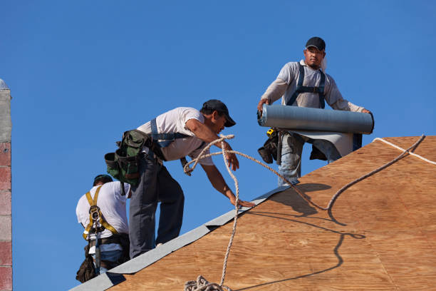 Best Local Roofing Companies  in Pennington Gap, VA