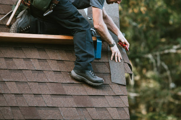 Best Roof Gutter Cleaning  in Pennington Gap, VA